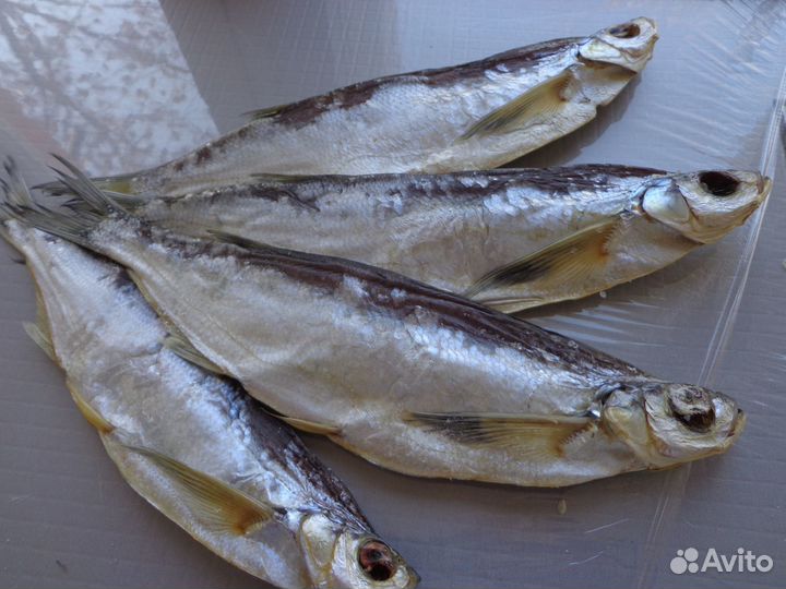 Рыба вяленая,копченая Вобла,лещ,густера,чехонь