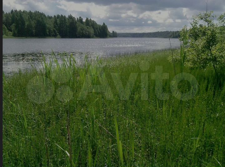 Участок 15 сот. (ИЖС)