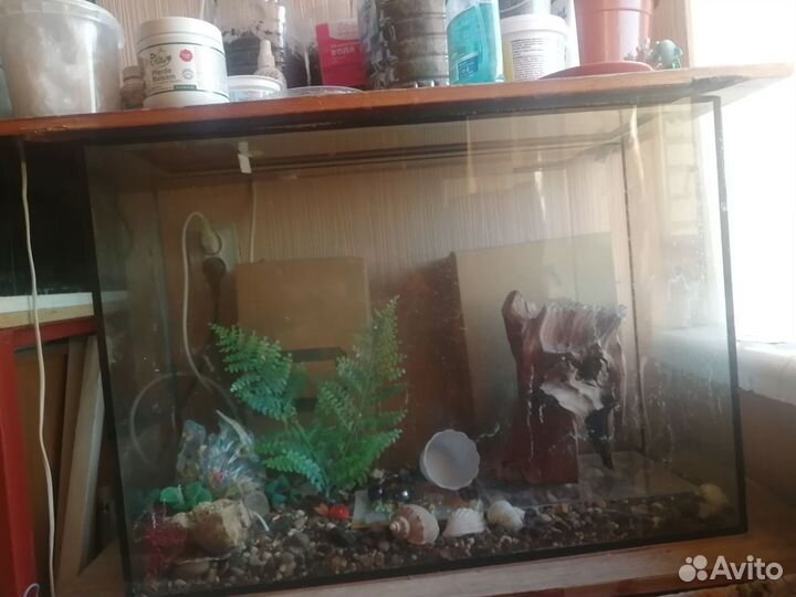 Аквариум