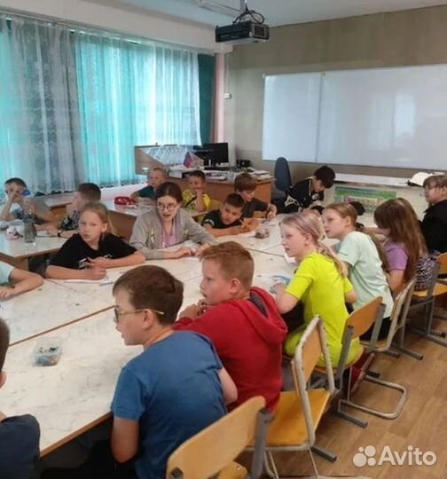 Продам готовый бизнес рисунки лесные жители