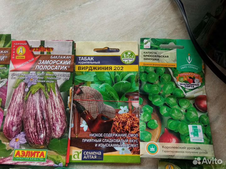 Продам семена