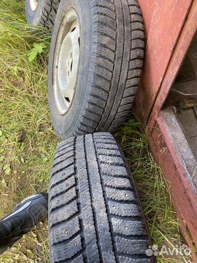 Accelera Epsilon 175/70 R13