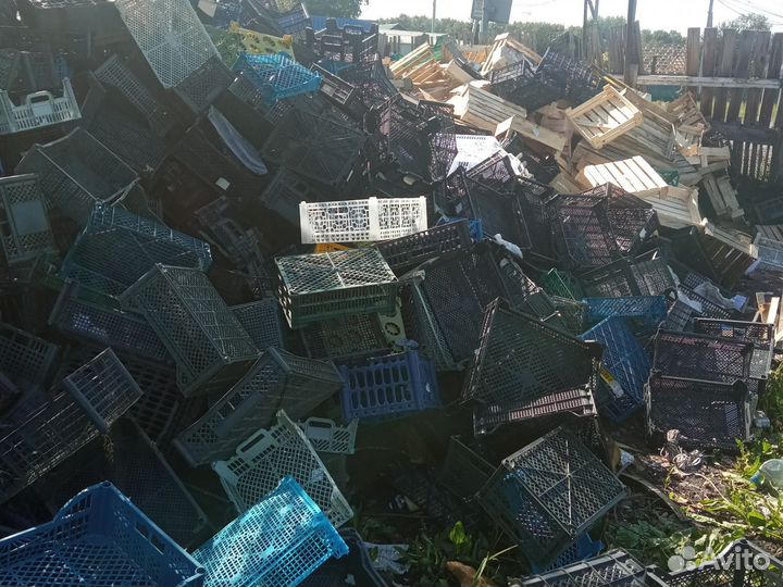 Пластиковые ящики бу от фруктов