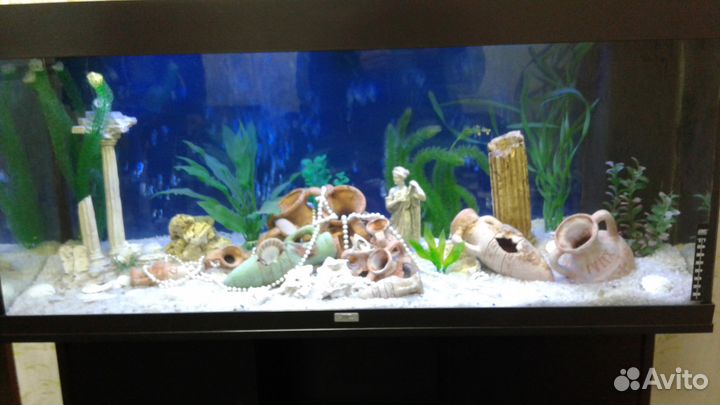 Обслуживание аквариумов,терра ремонт светильников