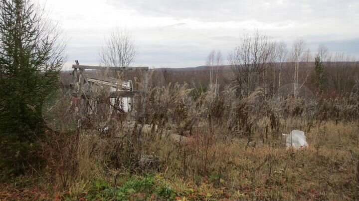 Участок 10 сот. (СНТ, ДНП)