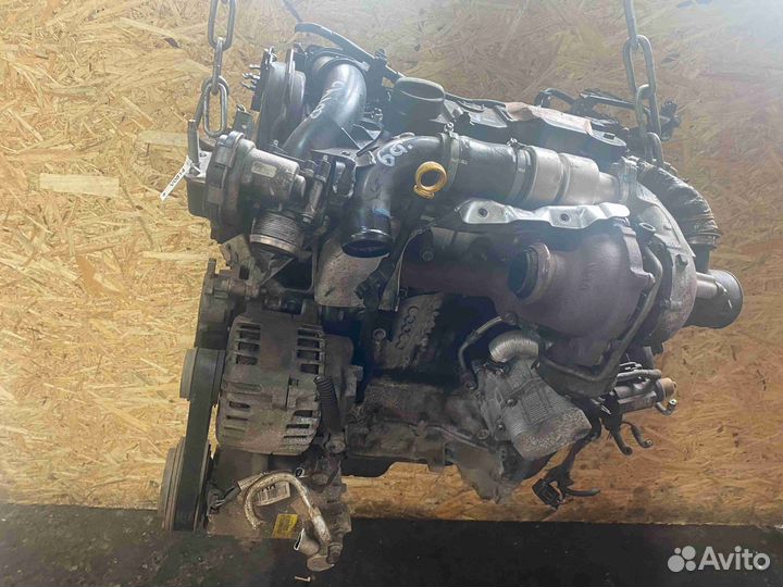 Двс (Двигатель) Ford Focus (2011-2014) T1DB