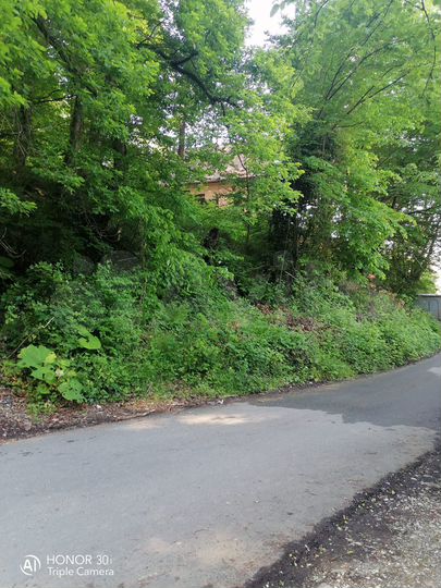 Участок 15,5 сот. (ИЖС)