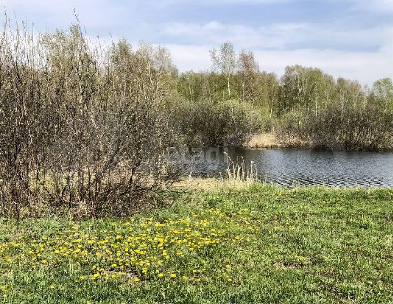 Участок 10 сот. (ИЖС)