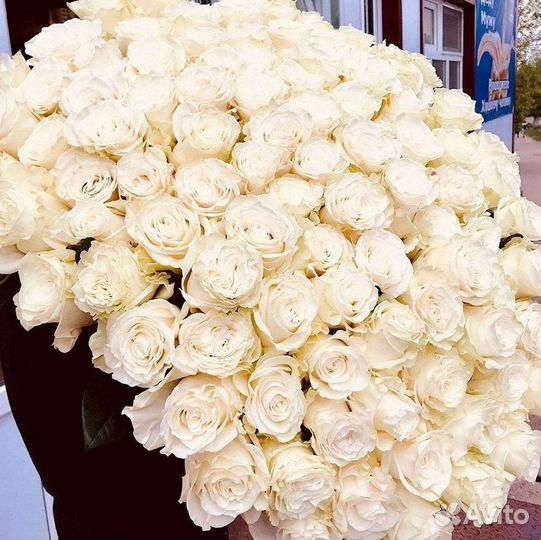 Высокие Розы Гиганты Доставка Круглосуточно