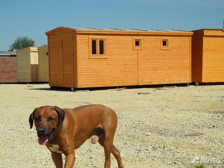 Бани Мобильные