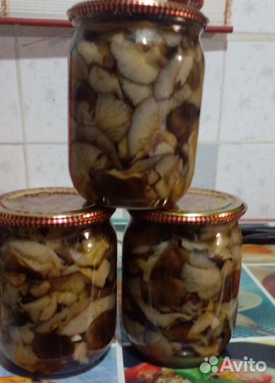 Грибы,огурцы.щавель