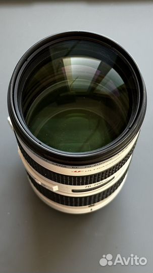 Canon Ef 70 200mm f 2.8l usm