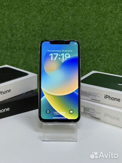 iPhone X, 256 ГБ