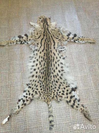 Шкура рыси имитация