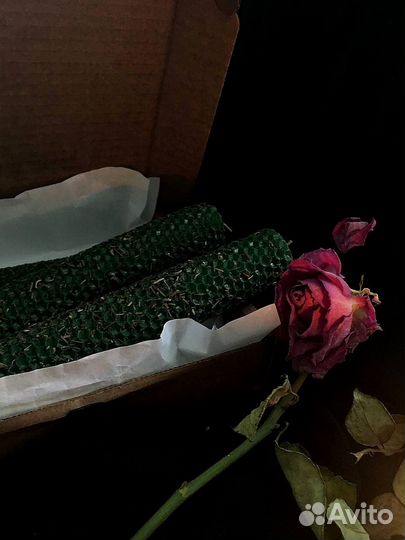 Свечи из вощины