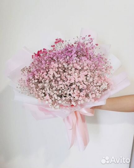 Гипсофила разных цветов С Быстрой Доставкой