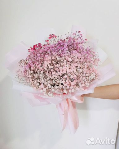 Гипсофила разных цветов С Быстрой Доставкой