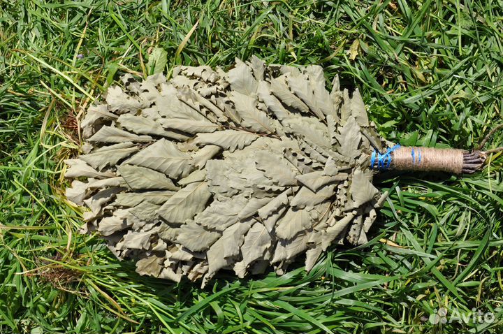 Дубовые веники для бани