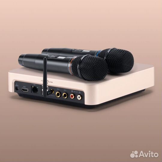 Караоке Evobox Plus золото