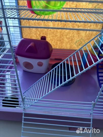 Элитная жилплощадь для хомяка