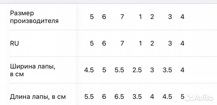 Одежда для собак