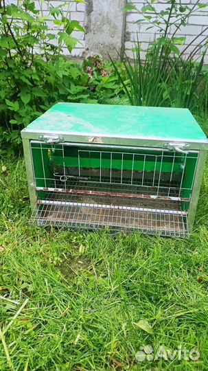 Клетки для перепелов