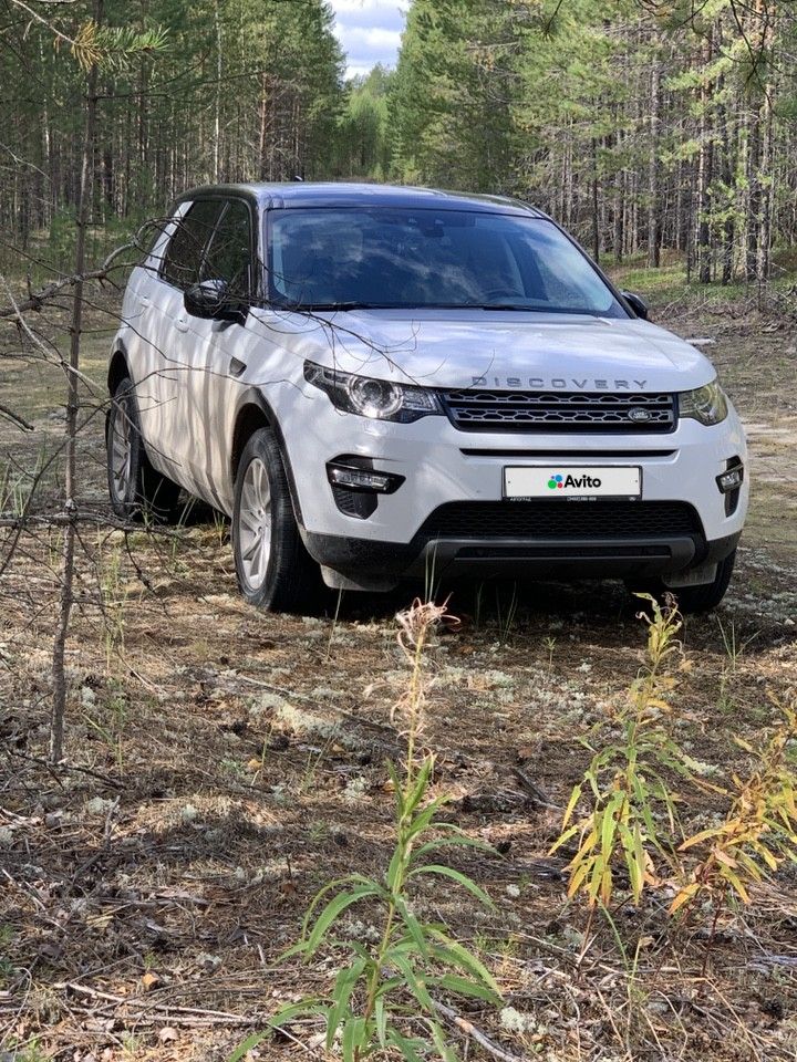 Land Rover Discovery Sport: фото владельца