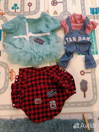 Комбинезон для собаки и другая одежда