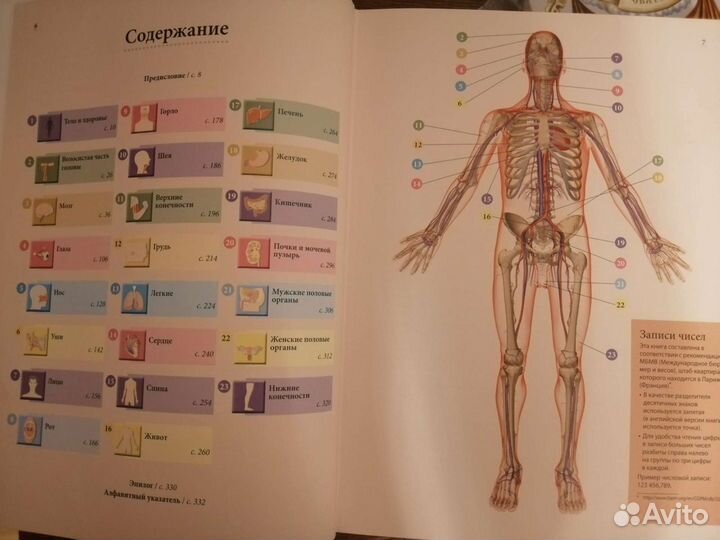 Книга Здоровое тело