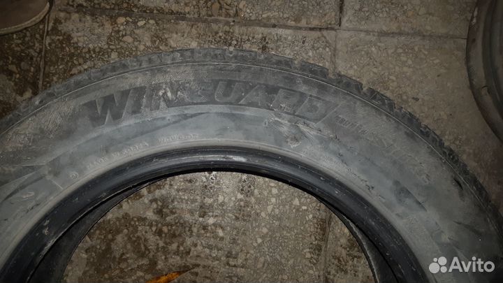 Nexen Winguard WinSpike 205/60 R16 92T