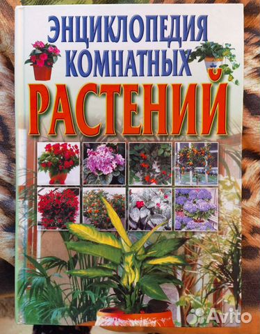 Энциклопедия комнатных растений
