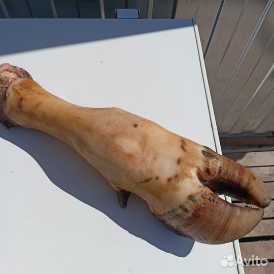 Продам ноги говяжьи