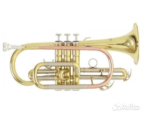 Корнет ROY benson CR в ассортименте