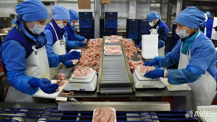 Вакансия вахтовика на птицефабрике Челябинск
