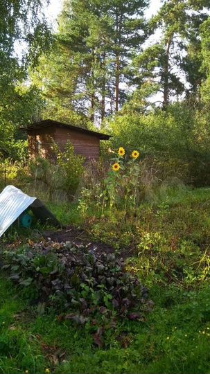 Участок 6 сот. (СНТ, ДНП)