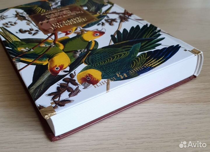 Три билета до Эдвенчер Обложка- лен Д. Даррелл