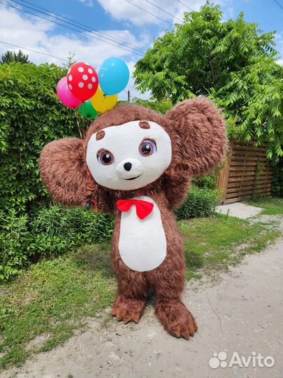 Поздравление ушастика/аниматор на праздник