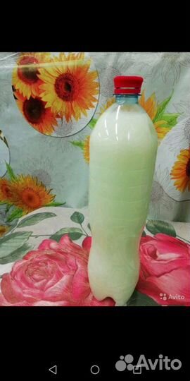 Творог, молоко масло сливочное, топлёное