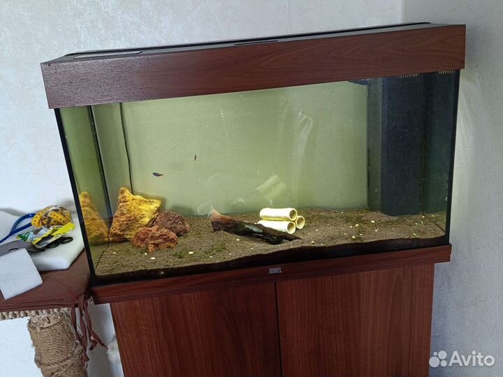 Аквариум jewel 125