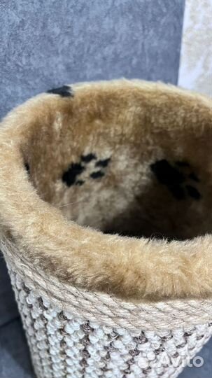 Когтеточка для кошек