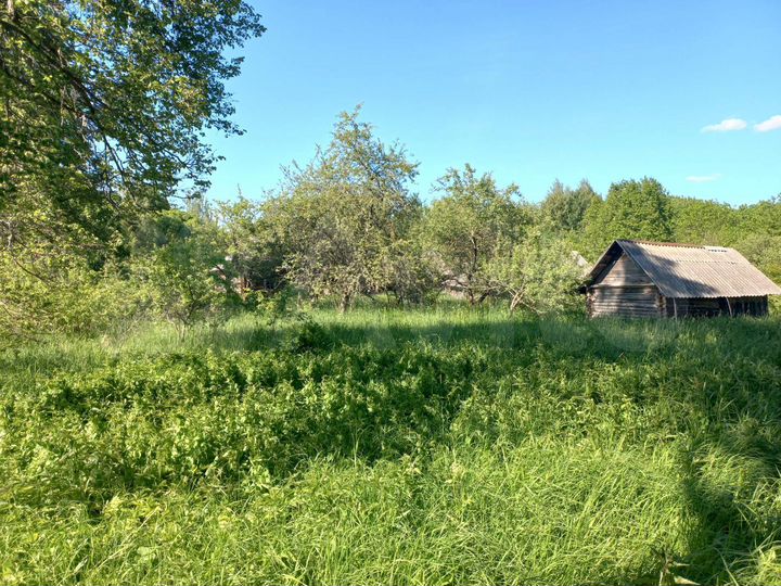 Участок 77 сот. (ИЖС)