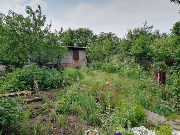 Дача 20 м² на участке 12 сот.