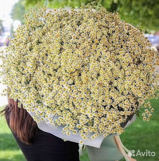 Букеты. Доставка ромашек