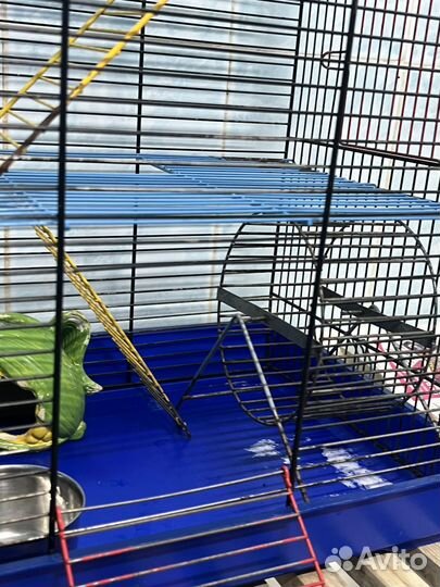 Клетка для грызунов очень большая