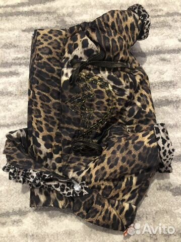 Одежда для собак