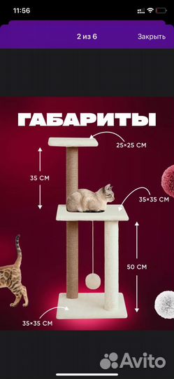 Когтеточка для кошек новая
