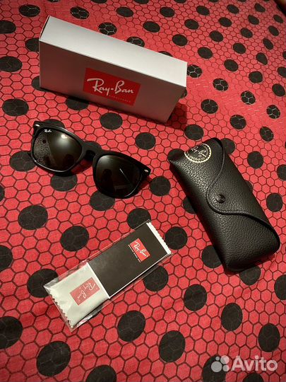 Очки Ray-Ban Steve RB4487