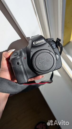 Canon EOS 6D body