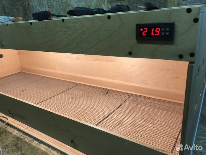 Брудер для цыплят