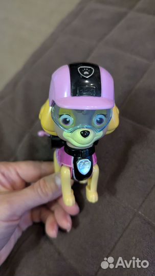 Щенячий патруль, 6 щенков и Райдер